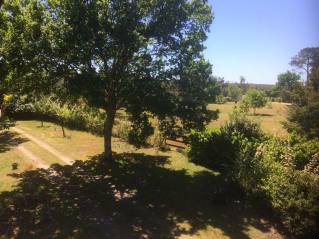 Stemicar Dans Les Landes Apartment Lesperon  Ngoại thất bức ảnh