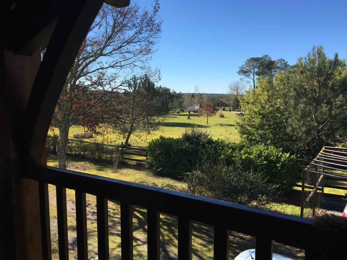 Stemicar Dans Les Landes Apartment Lesperon  Ngoại thất bức ảnh